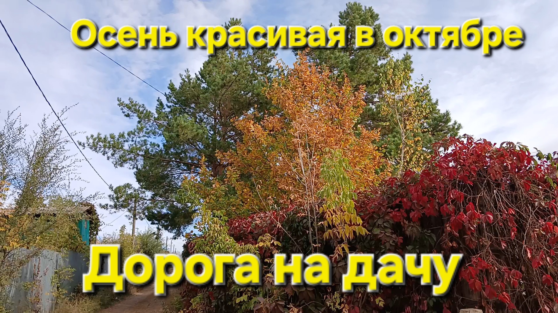 #Осень в октябре и осенняя дорога💖👍#Прогулка