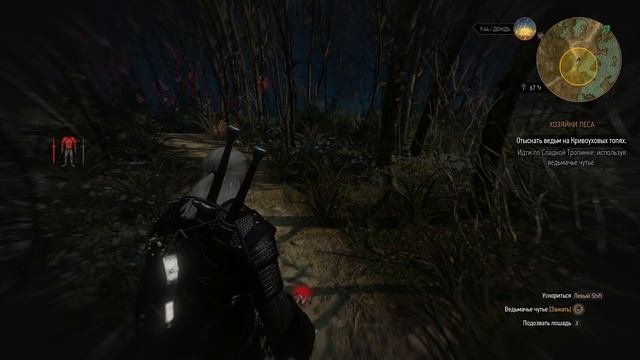 The Witcher 3 Wild Hunt ч10