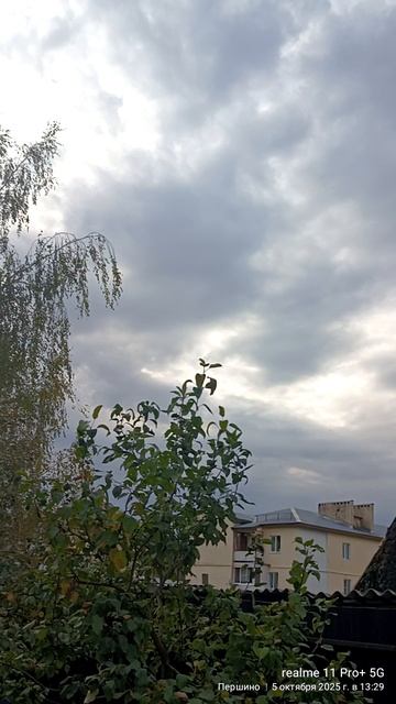 Перелётные птицы.