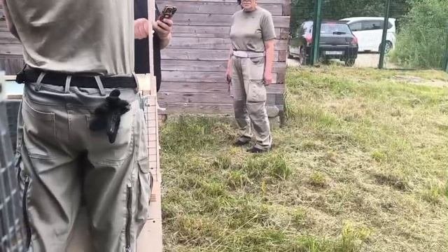 Японский журавль