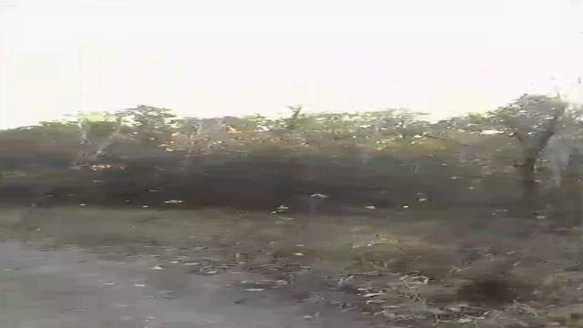 Ах шальная осень