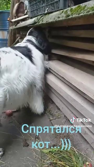 Кто там?...)))
