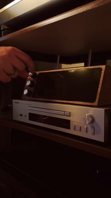 Vinyl Record ASMR
