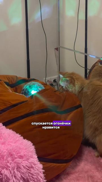 Как вам?❤️