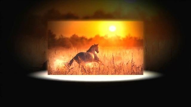 N.A.G. - End Of The 20th (Radio Dance Version)