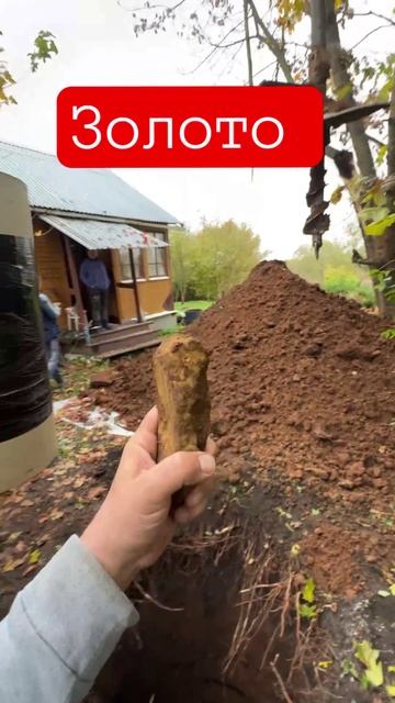 Наконец то Нашли золото 🥇