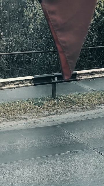 Дождливая погода сегодня 🌧️