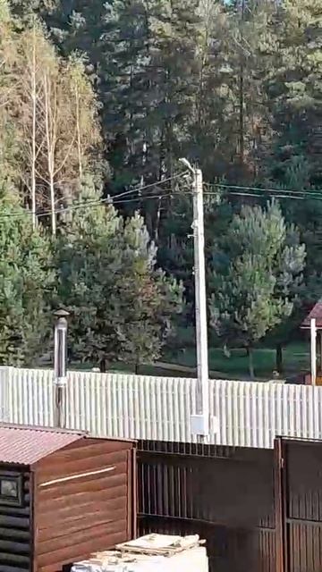 СОБАЧИЙ ЛАЙ КОРНЕЕВА СВЕТЛАНА МИХАЙЛОВНА СОДЕРЖИТ БОЛЕЕ 50 ОСОБЕЙ КАРЕЛО-ФИНСКОЙ ЛАЙКИ НЕЗАКОННО