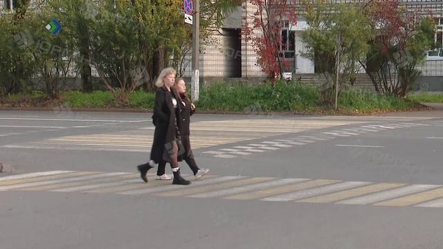 «Правила жизни» – Дорожные страсти