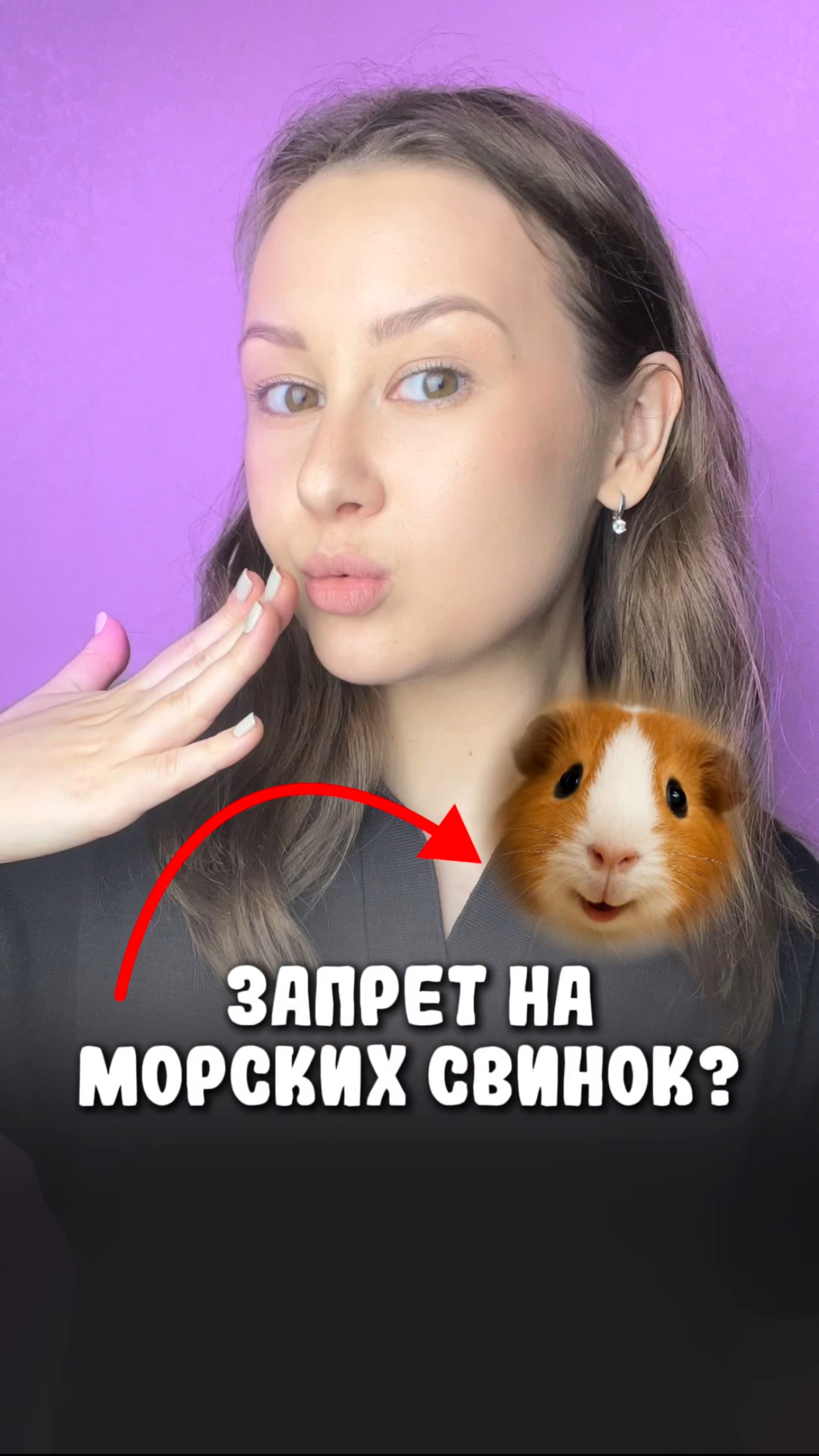 Любите морских свинок?
