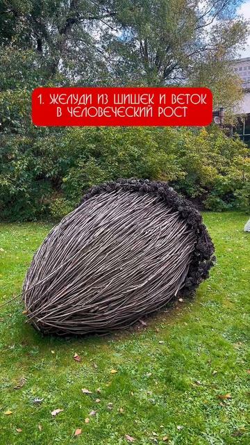 Невероятные экспонаты