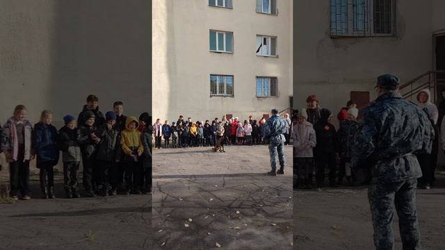 В гостях у школы