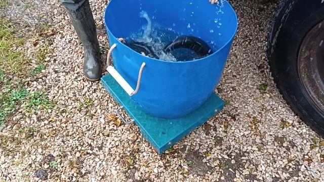 Привоз форели 07.10.25