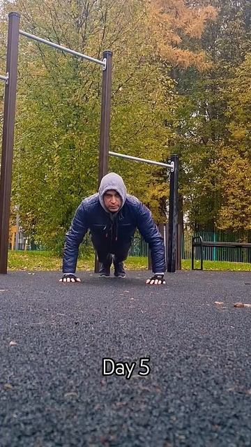 Тренировочная практика. День 5
