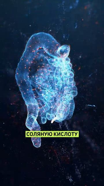 Как с помощью жкт ИЗБАВИТЬСЯ от железодефицита анемия железо железодефицит жкт