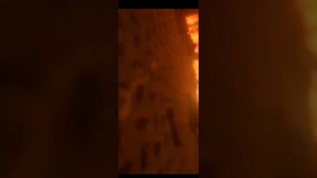 реакция на скибиди туалет 79-3 часть.
