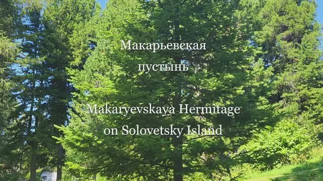 Макарьевская пустынь. Makaryevskaya Hermitage On Solovetsky Island