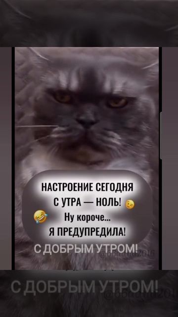 Доброе утро #доброеутро #благодарность