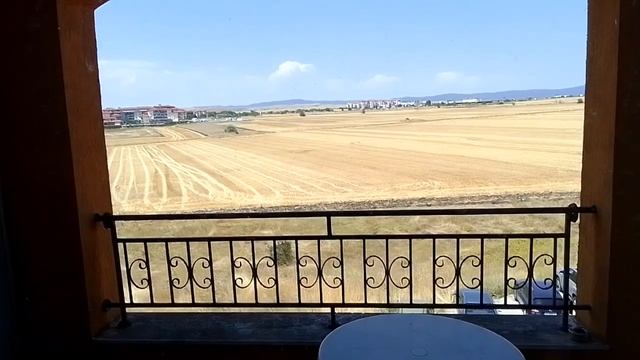 Болгария. Слишком много нравственно недалёких людей.