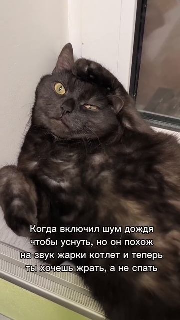 Все пошло не по плану 😄