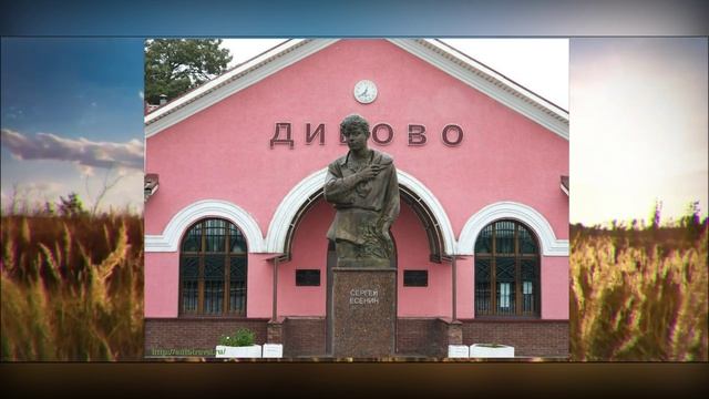 Певец страны березового ситца