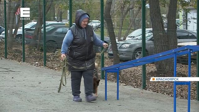 В Свердловском районе появилась новая площадка для выгула собак