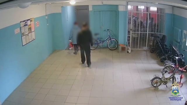 В Тобольске сотрудники патрульно-постовой службы задержали подозреваемого в краже велосипеда
