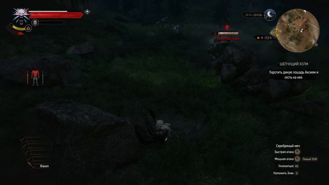 The Witcher 3 Wild Hunt ч11