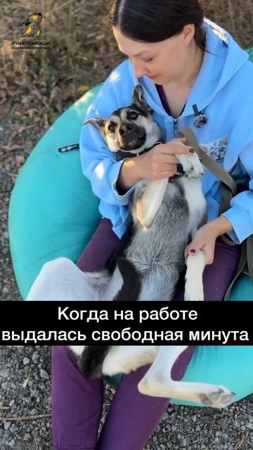 Лучше занятие для рабочего перерыва!