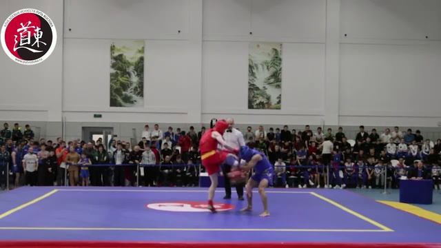 IX Международный турнир по ушу "Московские зведы ушу", 2024. Фрагменты поединков ушу-саньда. Часть 6