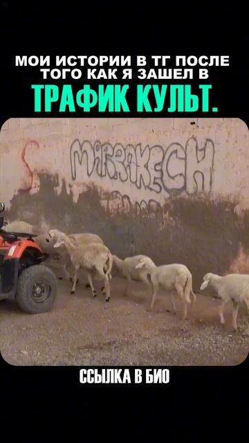Как перейти на удаленную работу.