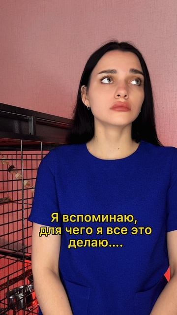 А какая мотивация у вас?