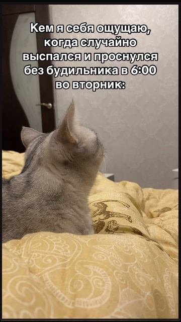 07-10-2025