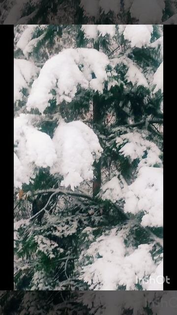 К нам пришла ❄⛄зима! Хруст снега.