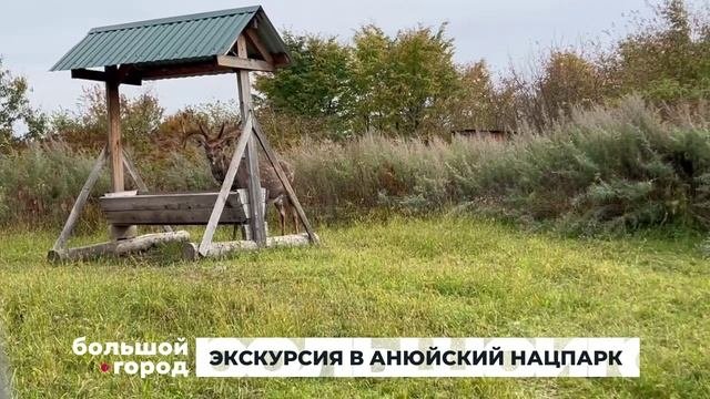 ЭКСКУРСИЯ В АНЮЙСКИЙ НАЦПАРК. Большой город 07/10/2025