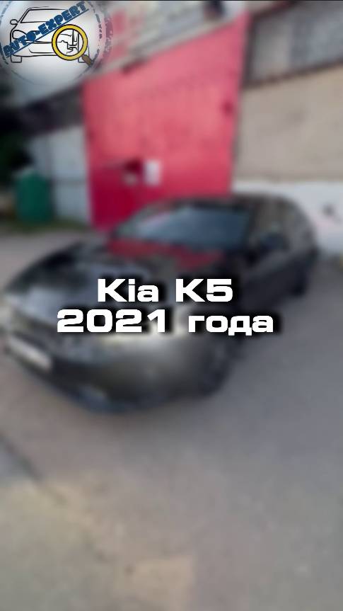 Как вы относитесь к марке Kia?