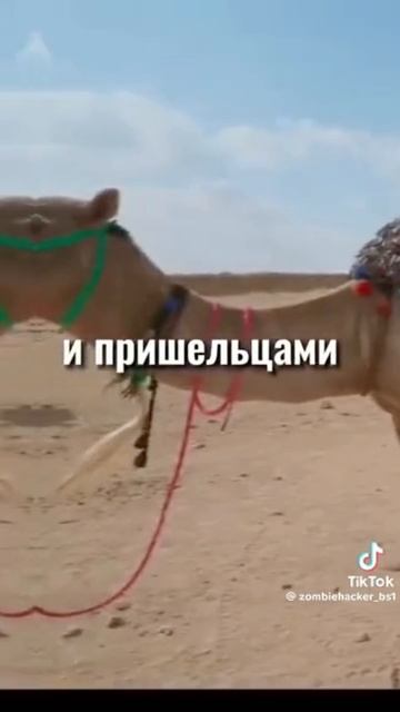 Факты,о Древнем Египте!