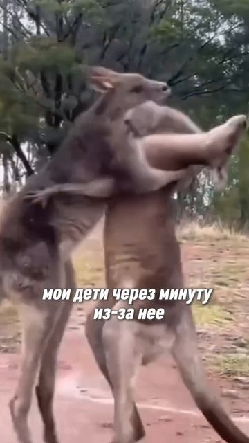 Кубики для ванной 💡🌊