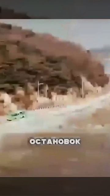 Дружба