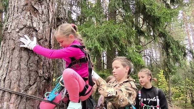 Пробный забег