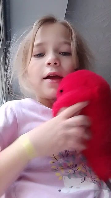 VID_20251003_090744.mp4