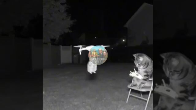 Эксклюзивное видео, на котором видно, как Россия запускает беспилотники над Мюнхеном
