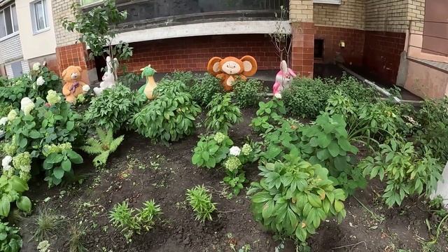 72 Мой двор. жильцы ухаживают за домом.