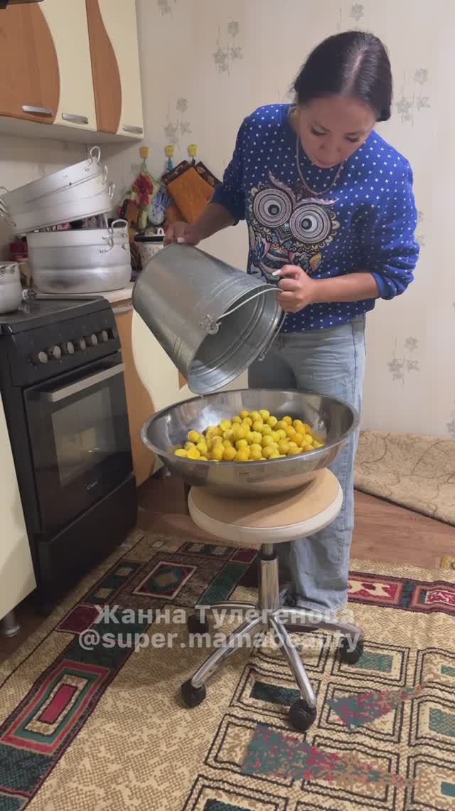 Мой день: сбор абрикосов #жизньзагородом
