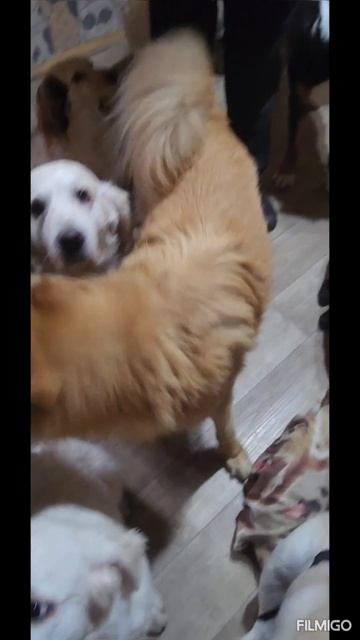 1000605276.mp4
