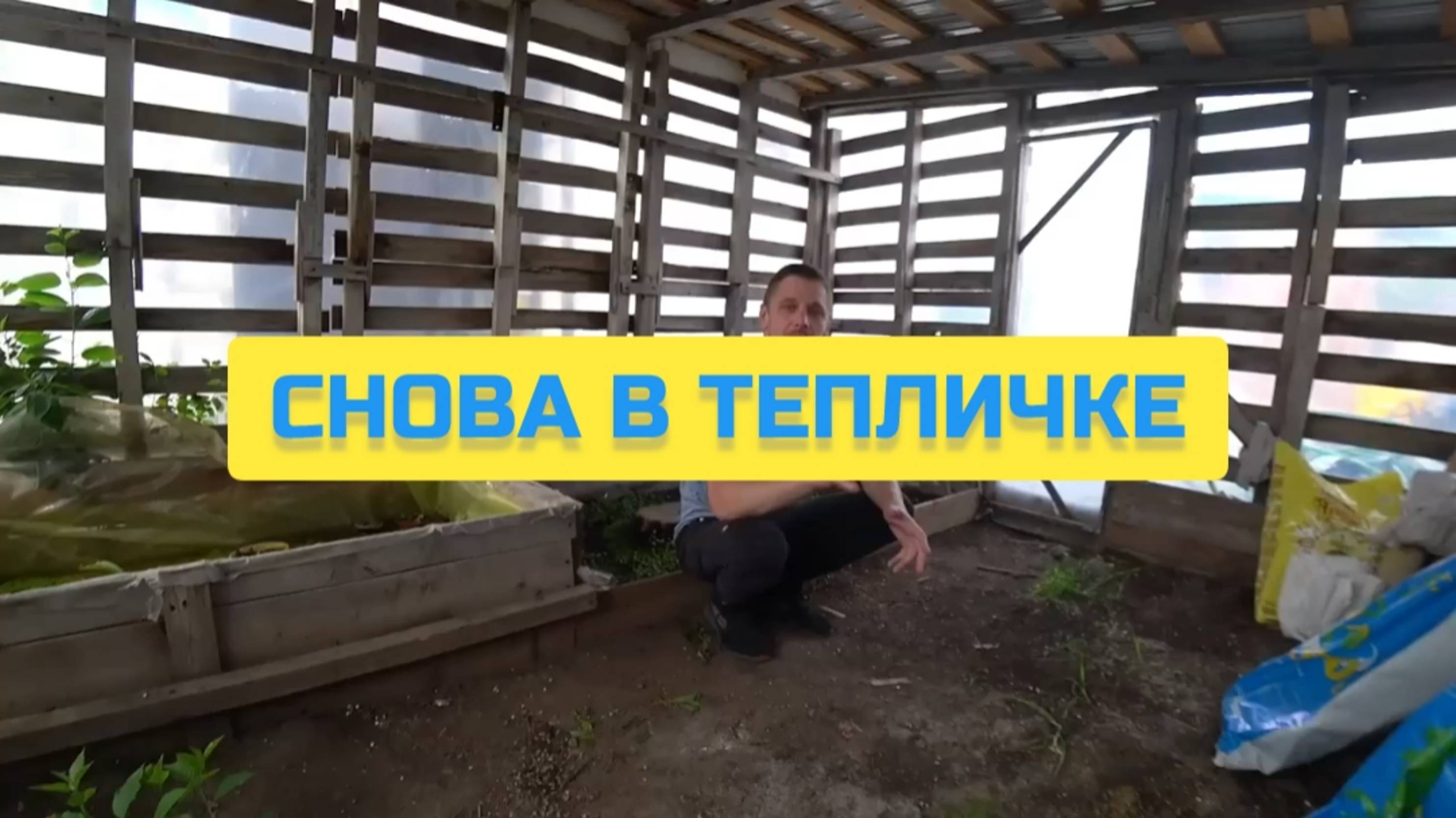 СНОВА В ТЕПЛИЧКЕ