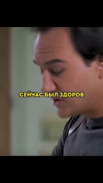 К9 или собачья работа