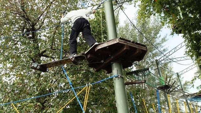 Приключения  в Веревочном парке 2025 год