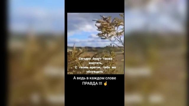 Друг подареный судьбой
