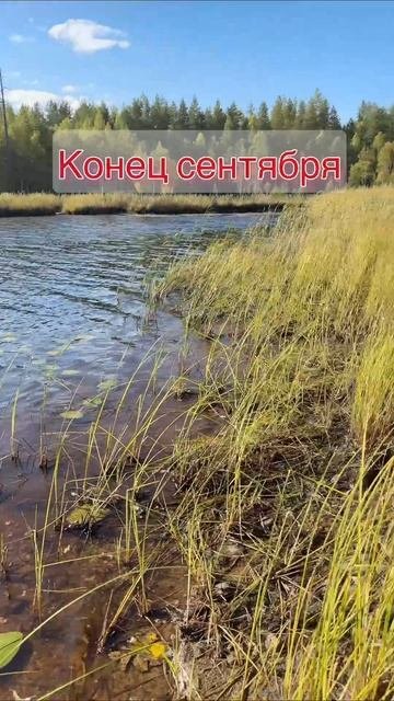 кадры из Карелии 2025 #рыбалка
